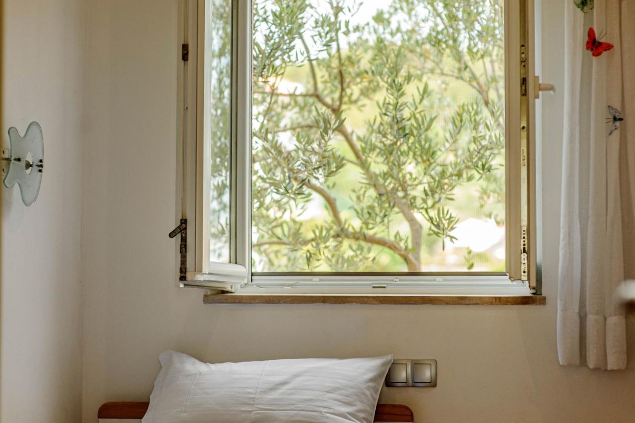Apartment Jelic 希贝尼克 外观 照片
